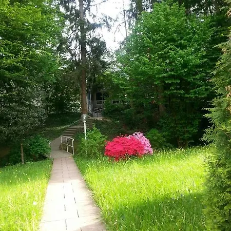 Apartment Near Turgenev Baden-Baden