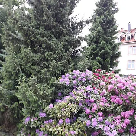 Appartamento Near Turgenev