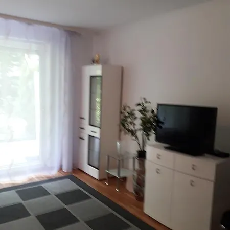 Apartment Near Turgenev Baden-Baden