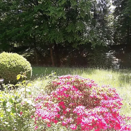 Near Turgenev Apartment Baden-Baden