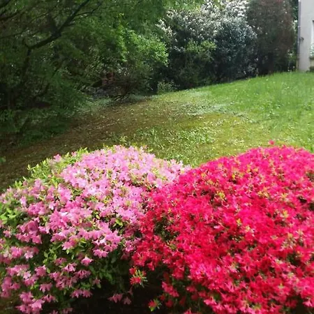 Apartment Near Turgenev Baden-Baden