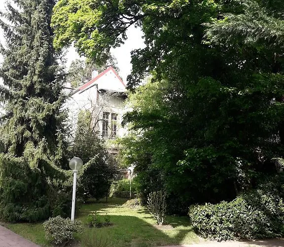 Near Turgenev * Baden-Baden