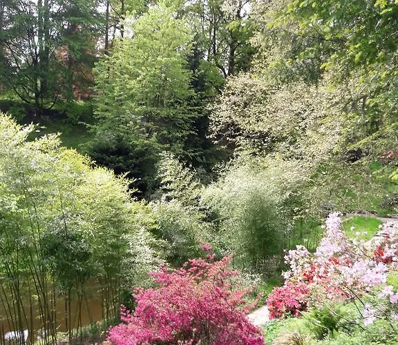 Near Turgenev Appartement