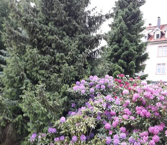 Appartement Near Turgenev