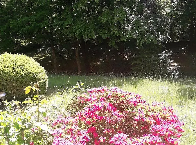 Near Turgenev Appartement Baden-Baden